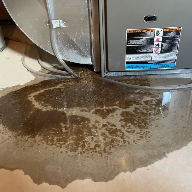 Pipe Burst and Leak Restoration in Normal, IL