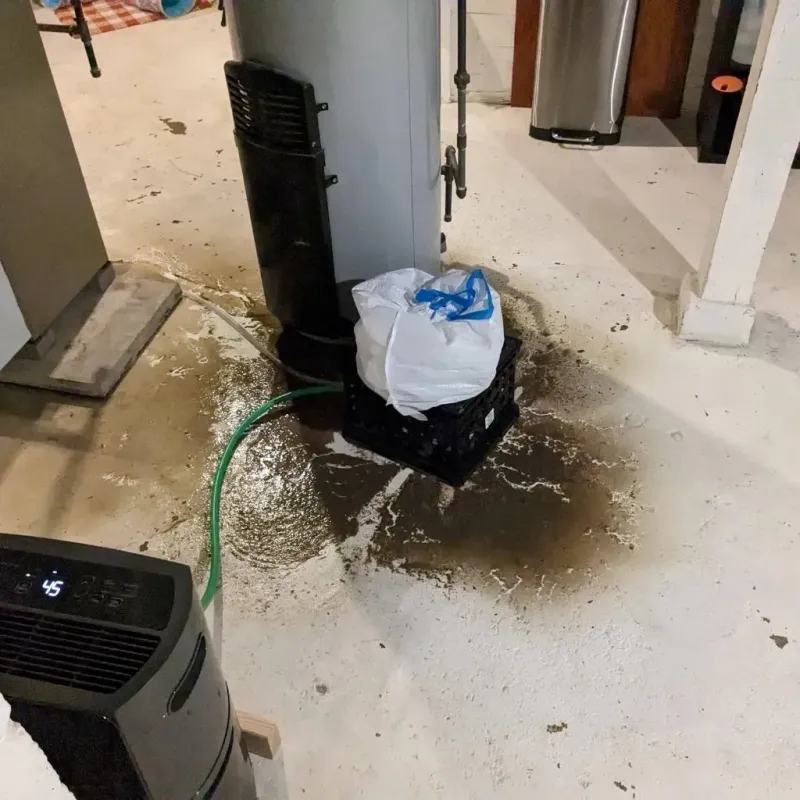 Sewage Backup Cleanup Service in Normal, IL